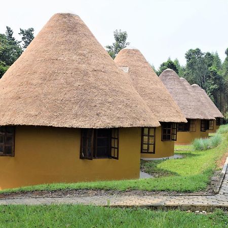 Kibale Guest Cottages Fort Portal Exteriör bild