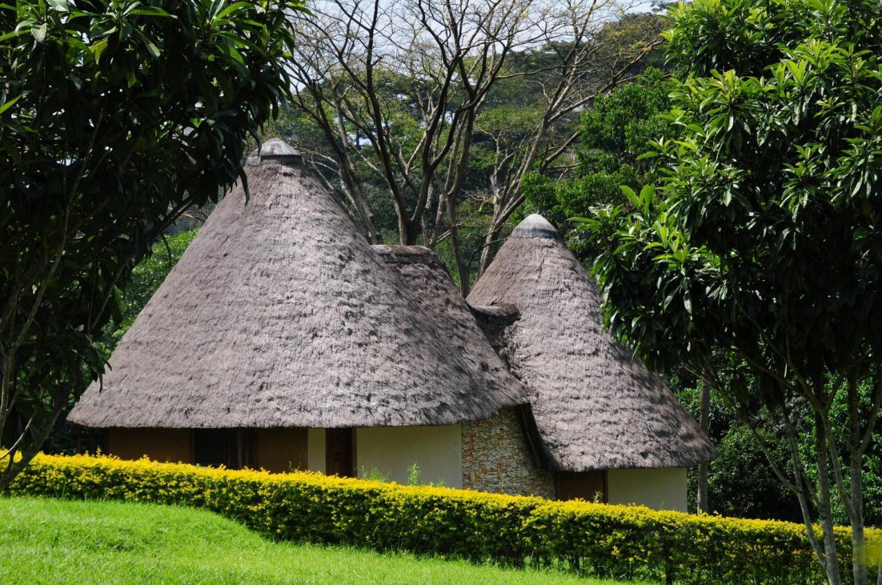 Kibale Guest Cottages Fort Portal Exteriör bild