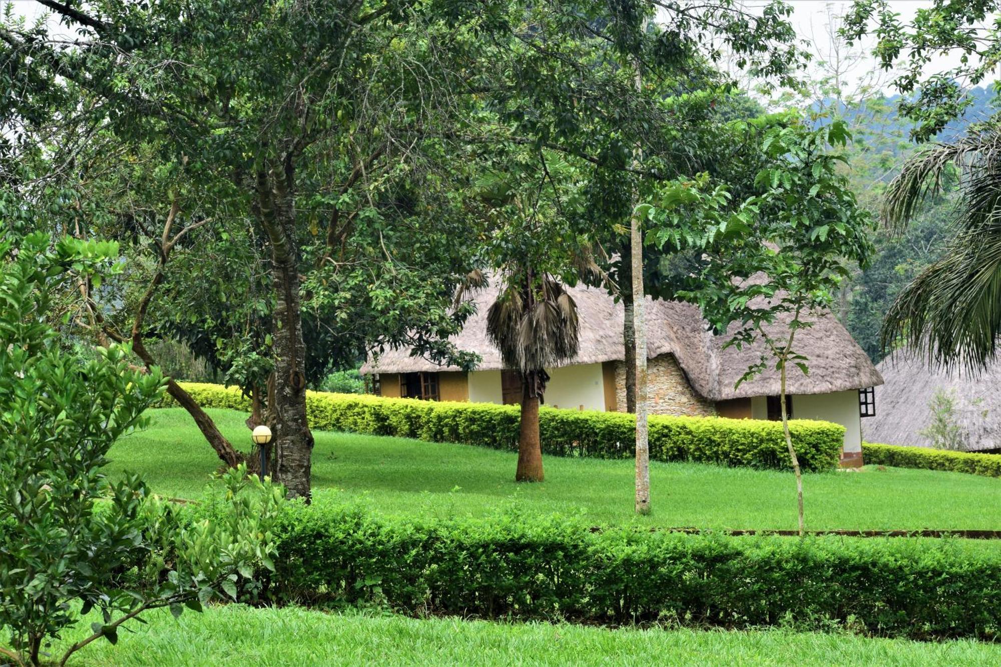 Kibale Guest Cottages Fort Portal Exteriör bild
